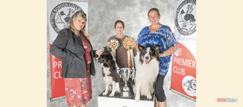 Best In Show Open Show 2024 - Sh Ch Chikaramor Cast A Spell at Glenfound (right)